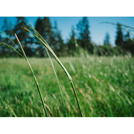 Gorgeous Copper Table fr-FR